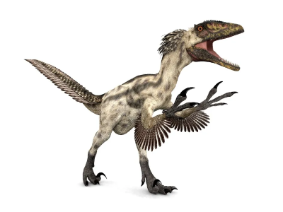 Historically Accurate Velociraptors